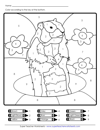 Groundhog Color-by-Number