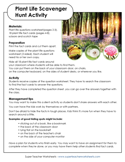Plant Life Scavenger Hunt