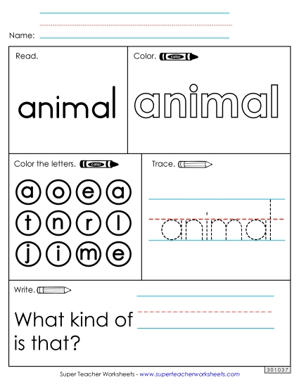 Worksheet 1: Animal