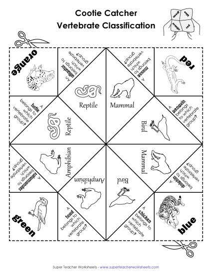 Vertebrate Classifications:<br>Foldable Fortune Teller