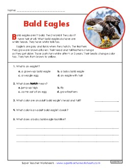 Bald Eagles Short Article 2nd Grade Reading Comprehension Social Studies Worksheet