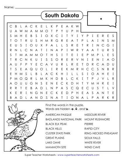 Word Search Puzzle