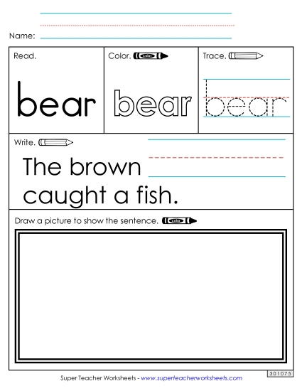Worksheet 3: Bear