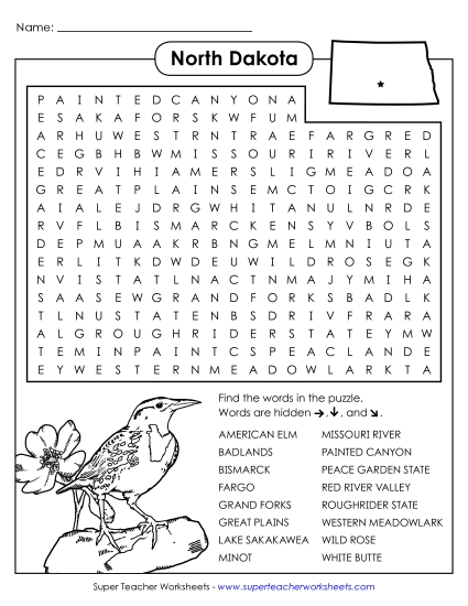 Word Search Puzzle