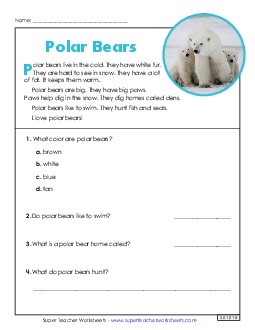 Polar Bear Article 1st Grade Reading Comprehension Science Worksheet