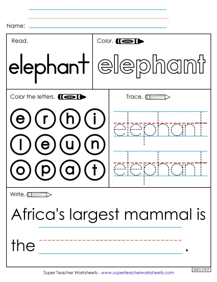 Worksheet 1: Elephant