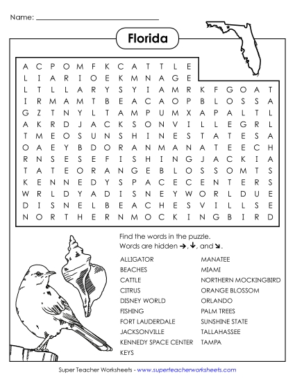 Word Search Puzzle