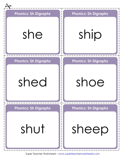 Flashcards