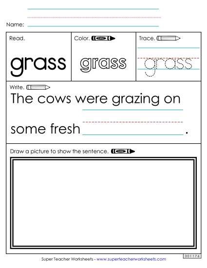 Worksheet 3: Grass