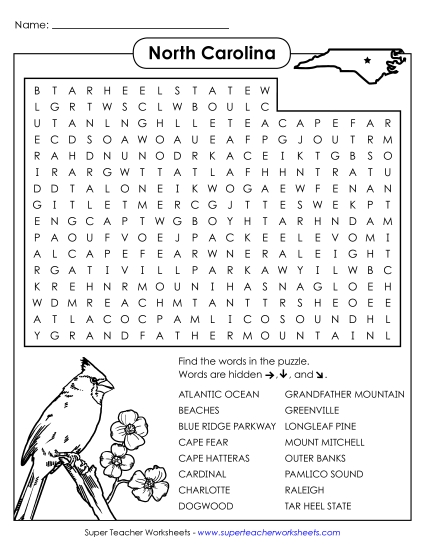 Word Search Puzzle