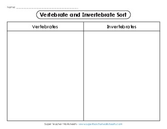 Invertebrate or Vertebrate Worksheet 3rd Grade Science Worksheet