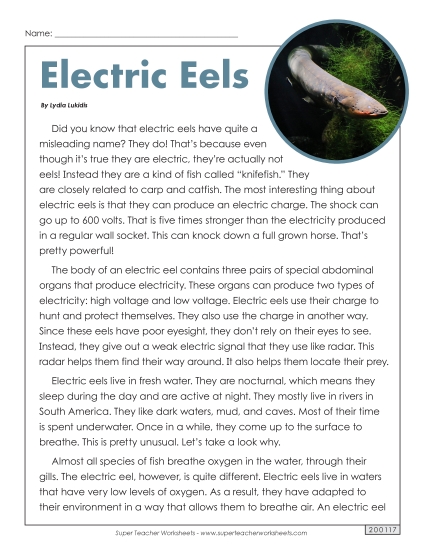 Electric Eels (Article) 