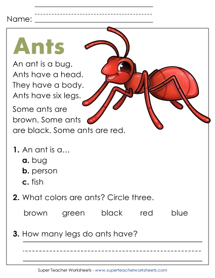 Ants