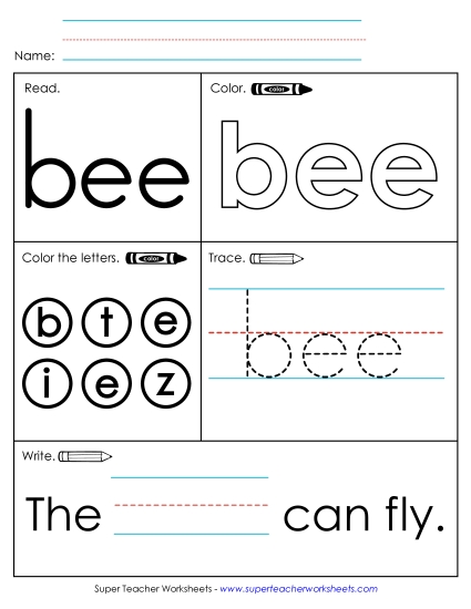Worksheet 1: Bee