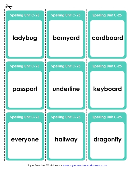 Flashcards (C-25)