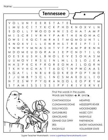 Word Search Puzzle