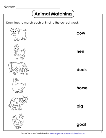 Matching Worksheet