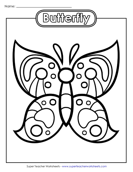 Butterfly