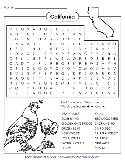 Word Search Puzzle