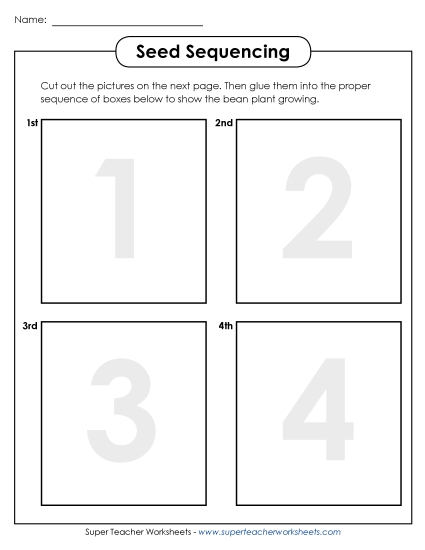 Bean Plant Sequencing (Basic)