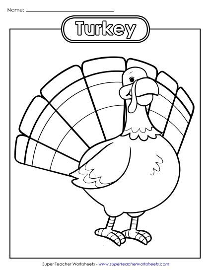 Coloring Page:  Turkey Thanksgiving Worksheet