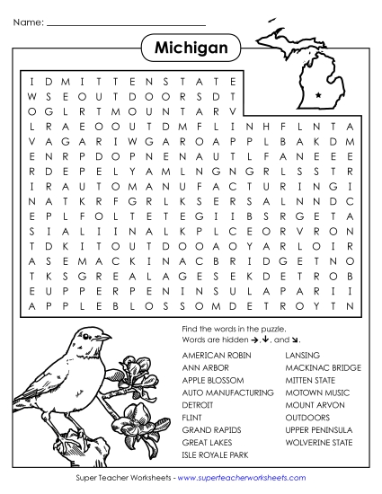 Word Search Puzzle