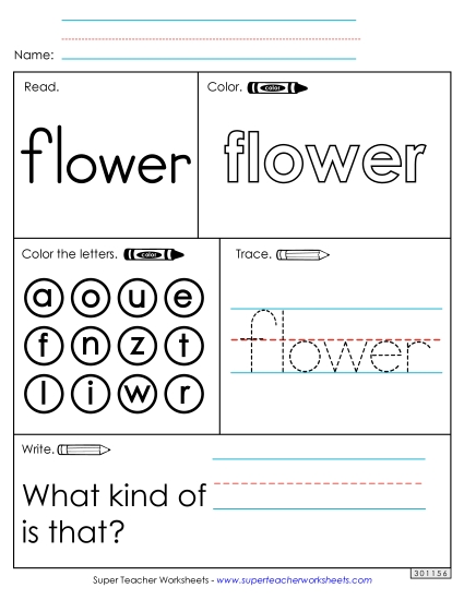 Worksheet 1: Flower