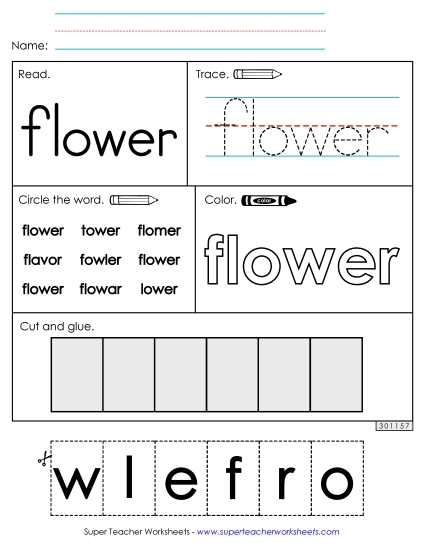 Worksheet 2: Flower