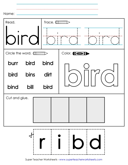 Worksheet 2: Bird