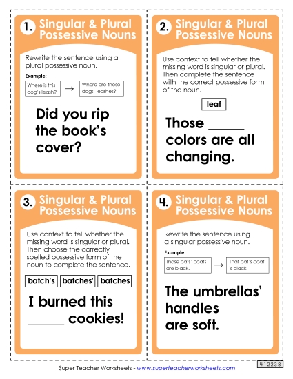 Nouns: Singular and Plural Possessives