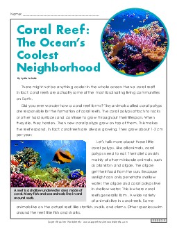 Coral Reef: The Ocean\'s Coolest Neighborhood