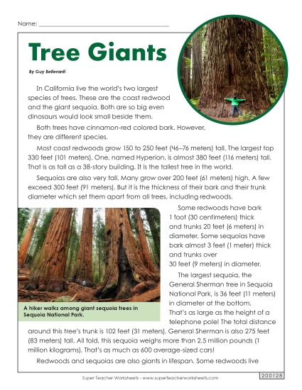 Tree Giants