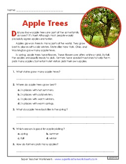 Apple Trees (Short, Nonfiction)
