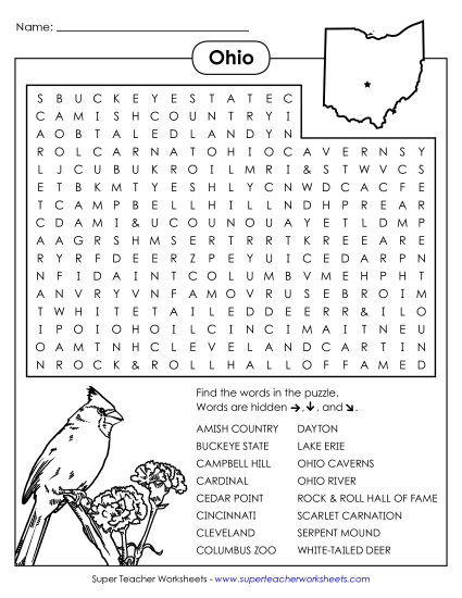 Word Search Puzzle