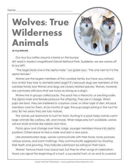 Wolves: True Wilderness Animals 