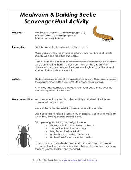 Mealworm (Darkling Beetle) Scavenger Hunt