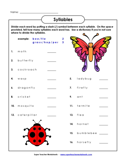 Breaking Words into Syllables - Insect Theme