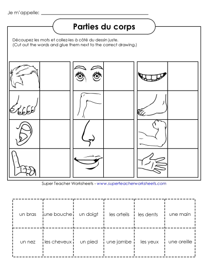 Cut-and-Glue: Body Parts