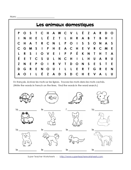Word Search: Pets