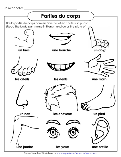 Pictures: Body Parts