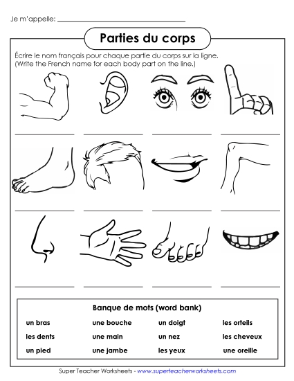 Foreign Language  Worksheets Learning Tool