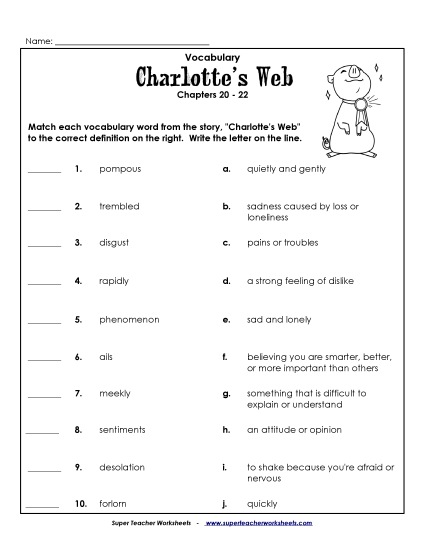 Vocab for Chapters 20-22