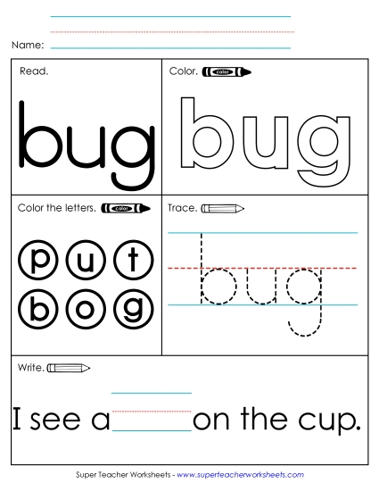 Worksheet 1: Bug