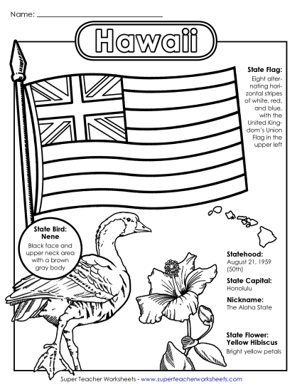 Hawaii State Symbols Coloring Page