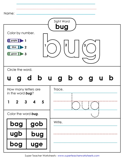 Worksheet 4: Bug