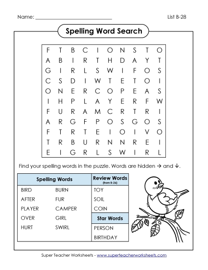 Word Search (B-28)