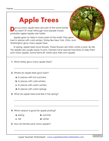 Article: Apple Trees (Short)