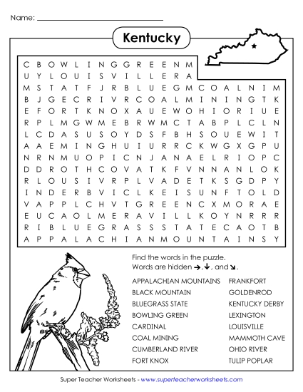 Word Search Puzzle
