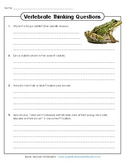 Classification of Animals: Thinking Questions 3rd Grade Science Worksheet