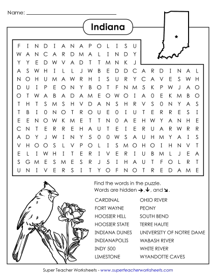 Word Search Puzzle